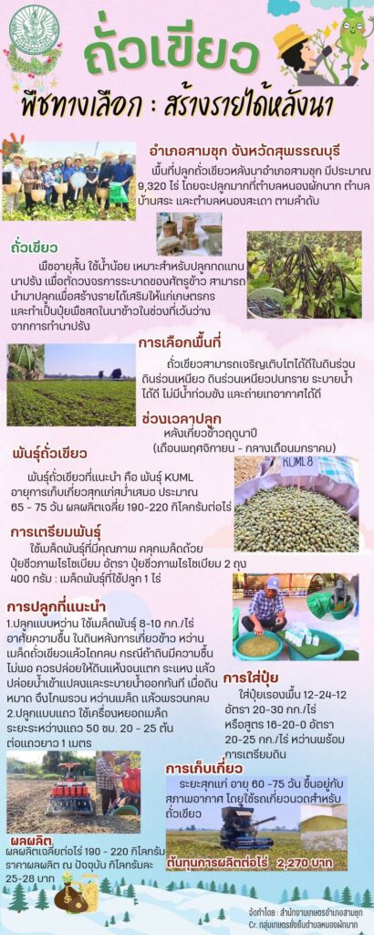 ถั่วเขียว พืชทางเลือก : สร้างรายได้หลังนา